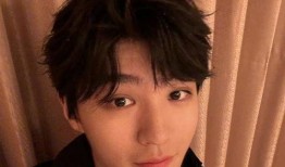 王俊凯黑粉爆料视频,真相与谣言的交织